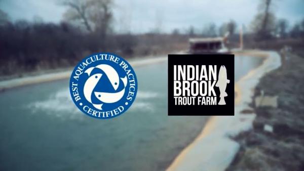 Indian Brook Trout Farm, the nation’s only fresh pack Best Aquaculture Practices certified aquaculture facility