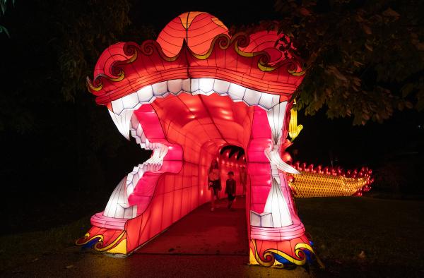 Children walk out of the mouth of a dragon-shaped tunnel made of lights.