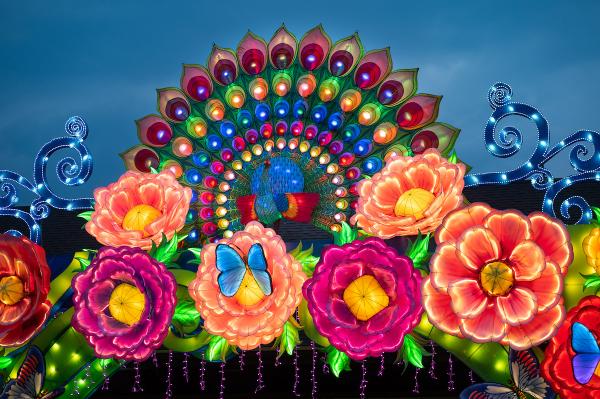 An arch covered in lit up flowers, waves butterflies and a peacock.
