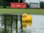 Yellow rubber duck floating on practice putting green during first round of the Meijer LPGA Classic for Simply Give